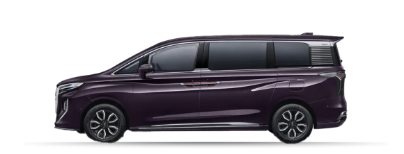 HONGQI HQ9 ДЕЛЮКС
